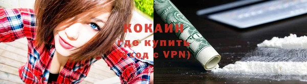 МДПВ Вяземский