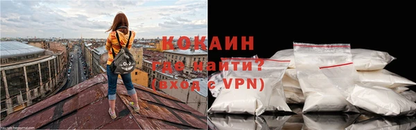 МДПВ Вяземский