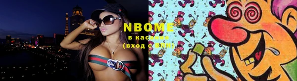 МДПВ Вяземский