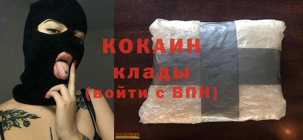 МДПВ Вяземский