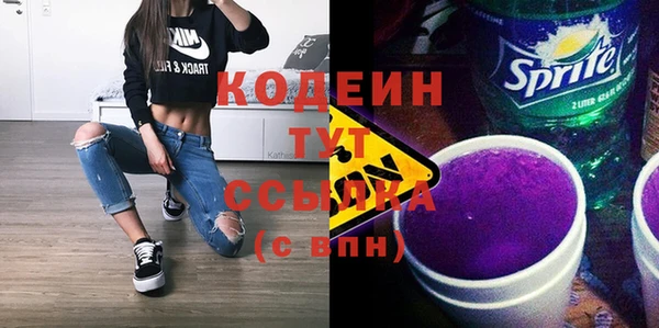 МДПВ Вяземский