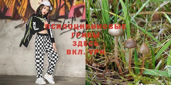 твердый Вязники